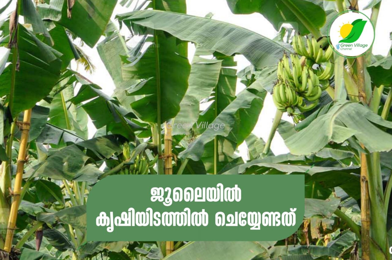 IMG 20230714 WA0051