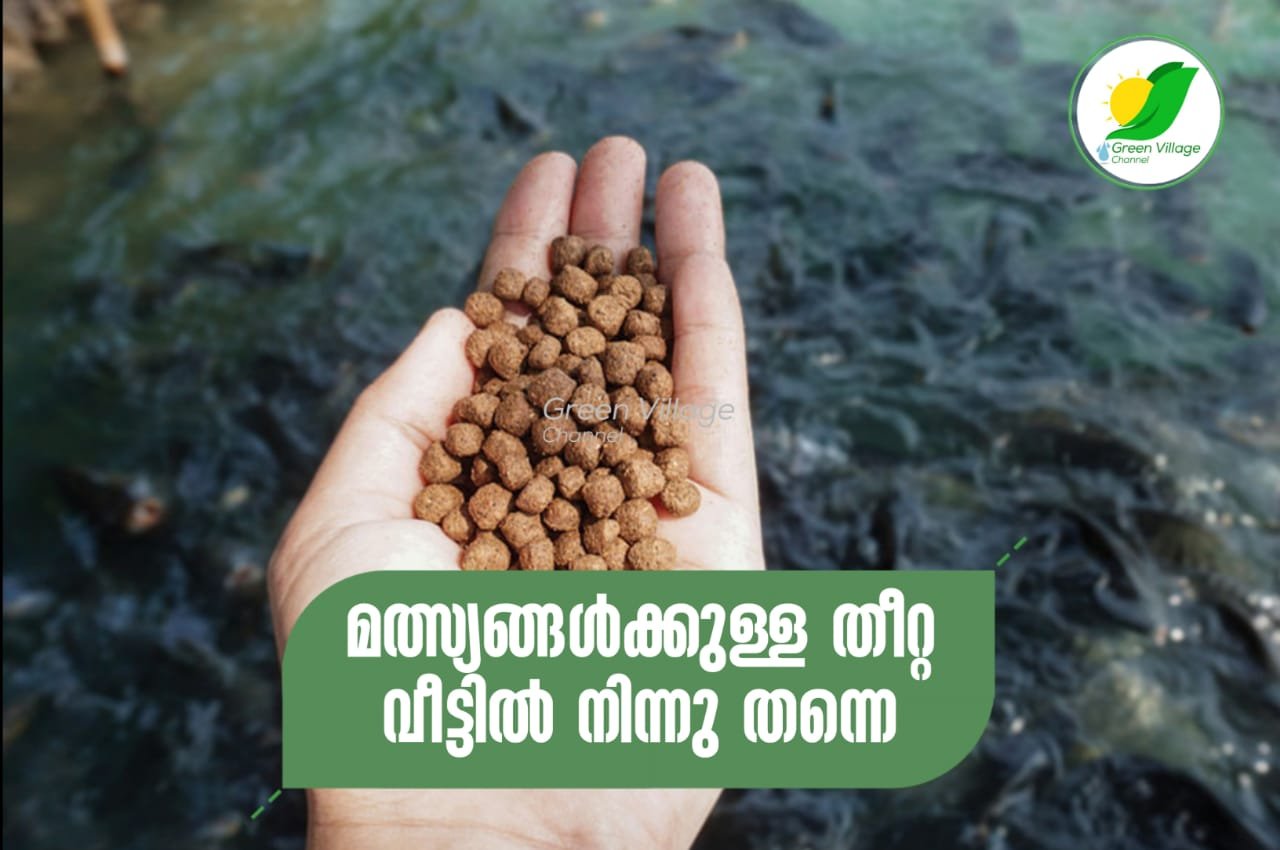 IMG 20230716 WA0006