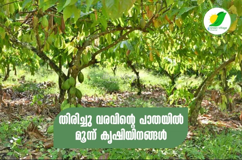 IMG 20230716 WA0019 1024x680