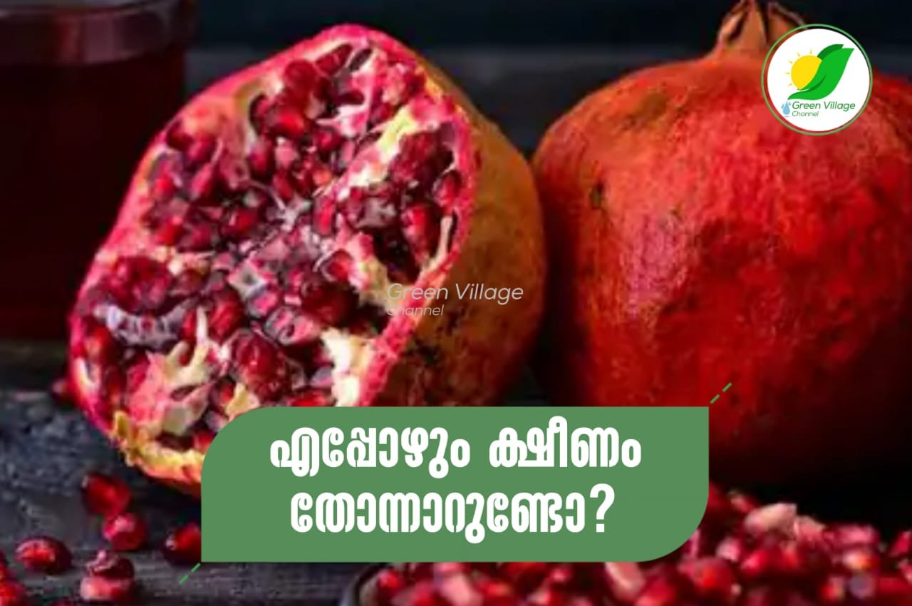 IMG 20230716 WA0087