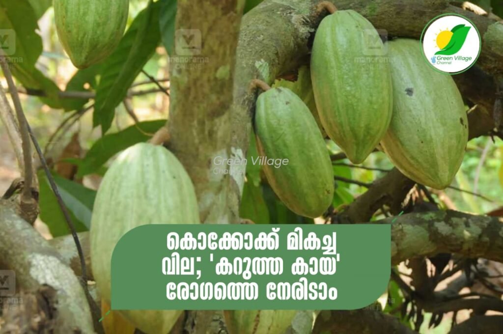 IMG 20230721 WA0054 1024x680