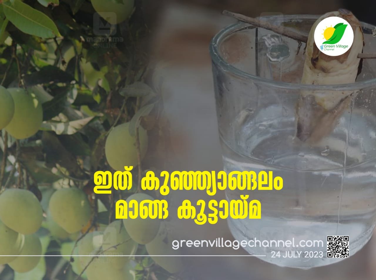 IMG 20230725 WA0025