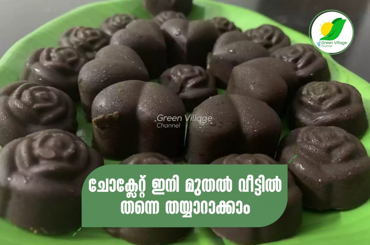 IMG 20230726 WA0073
