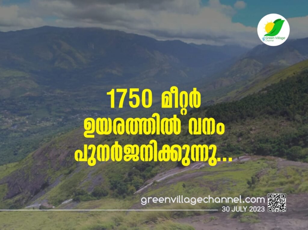 IMG 20230730 WA0016 1024x764