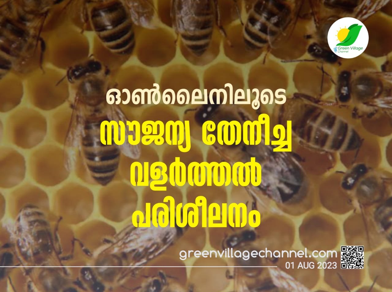 IMG 20230801 WA0047