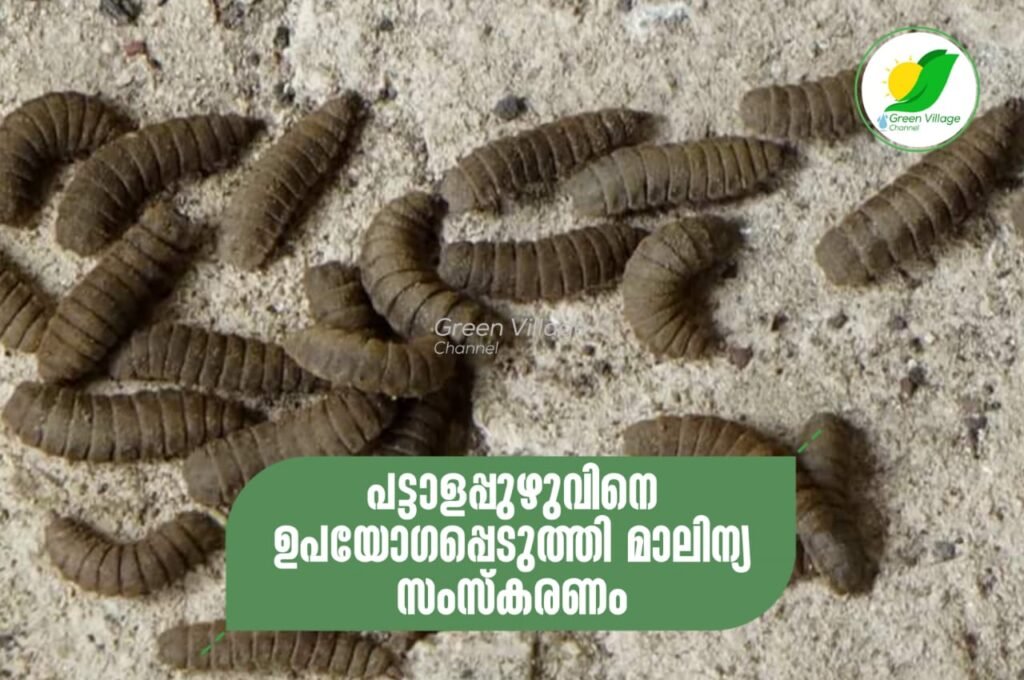 IMG 20230801 WA0053 1024x680