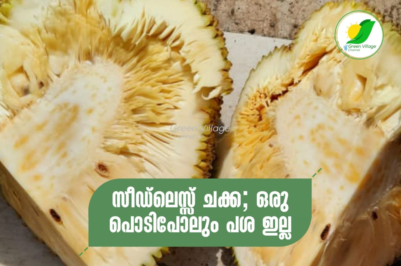 IMG 20230802 WA0014
