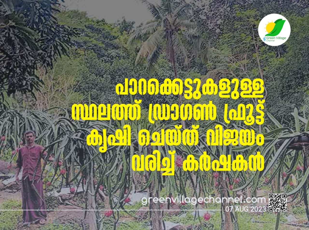 IMG 20230806 WA0083