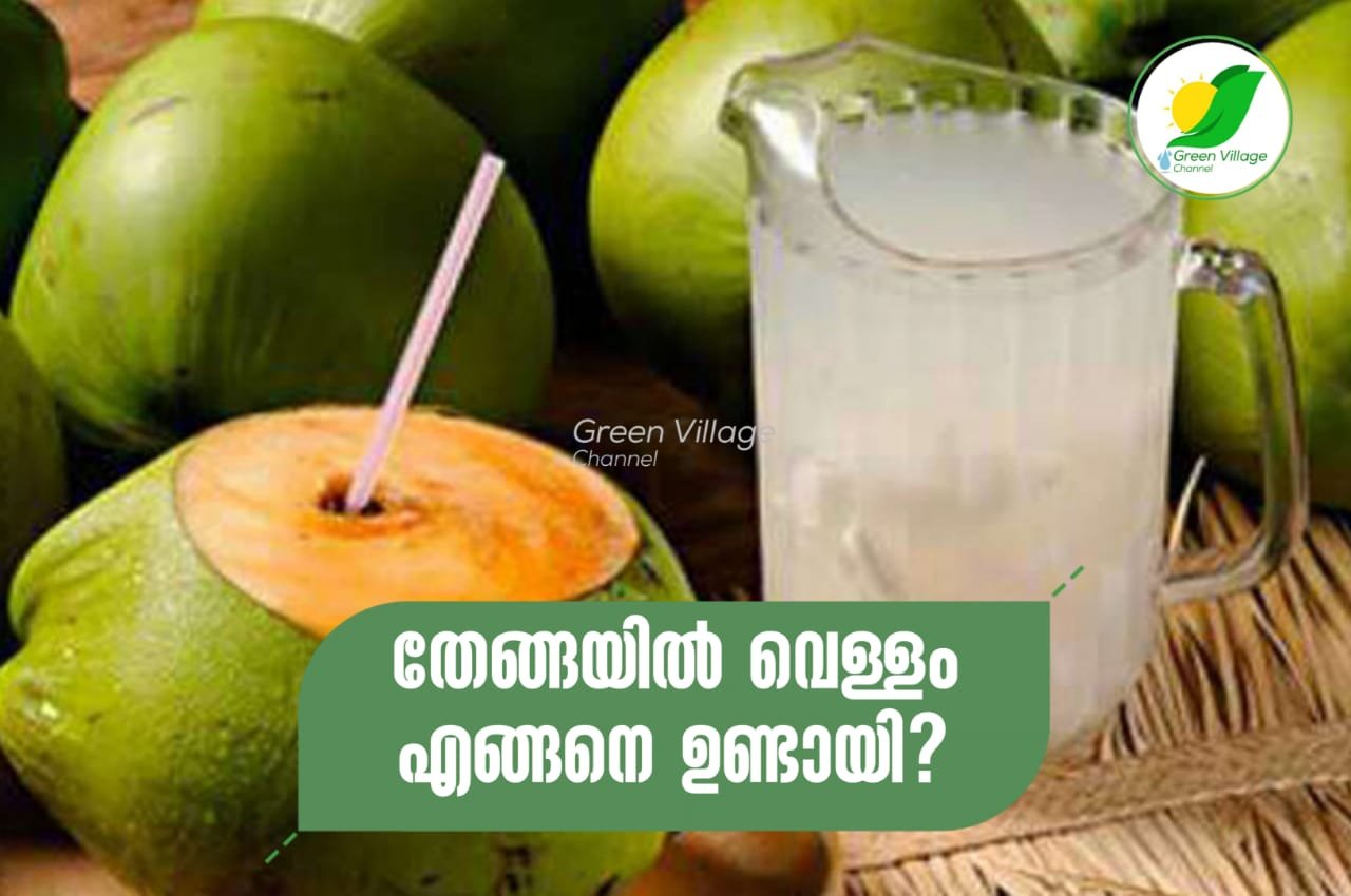 IMG 20230811 WA0005