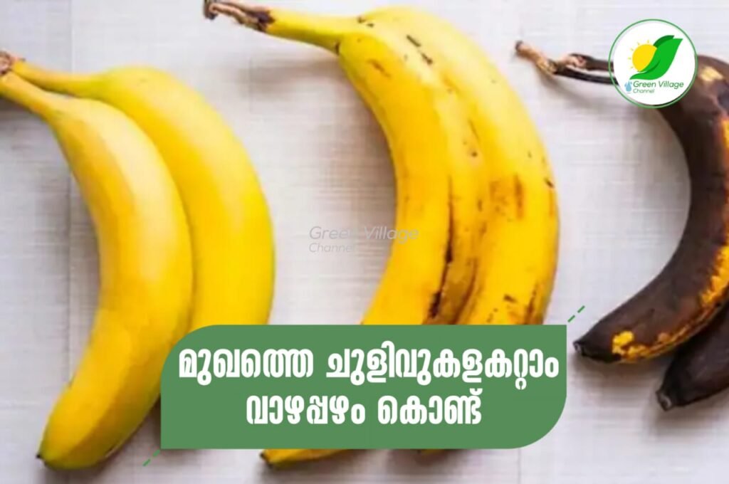 IMG 20230811 WA0006 1024x680