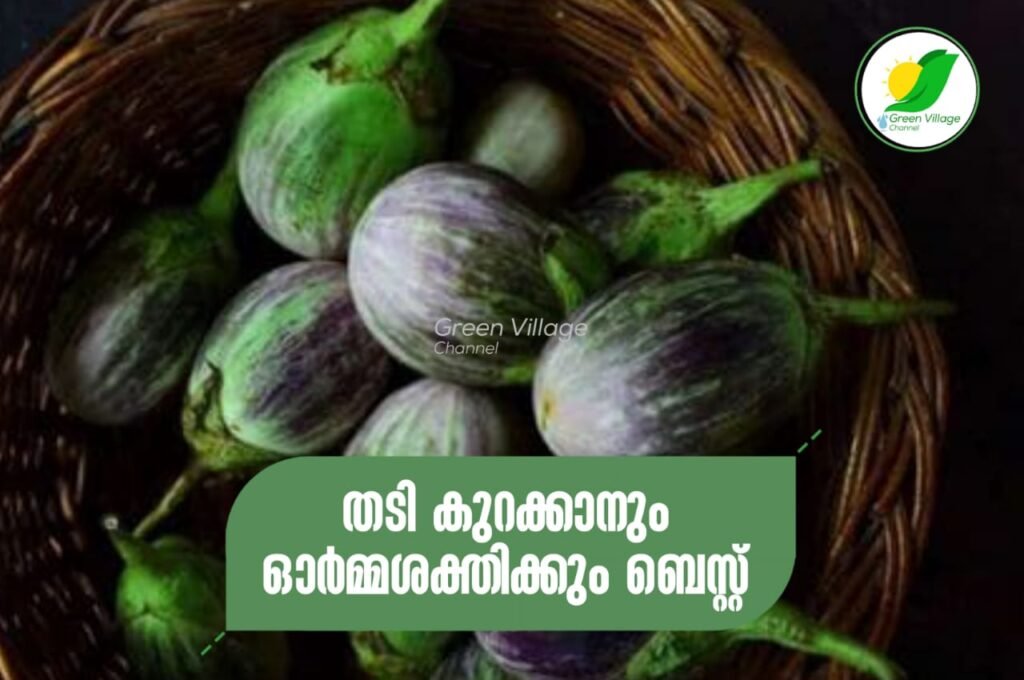 IMG 20230813 WA0022 1024x680