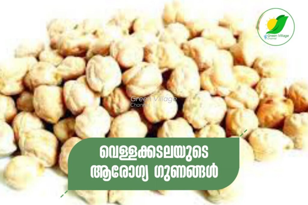 IMG 20230816 WA0010 1024x680