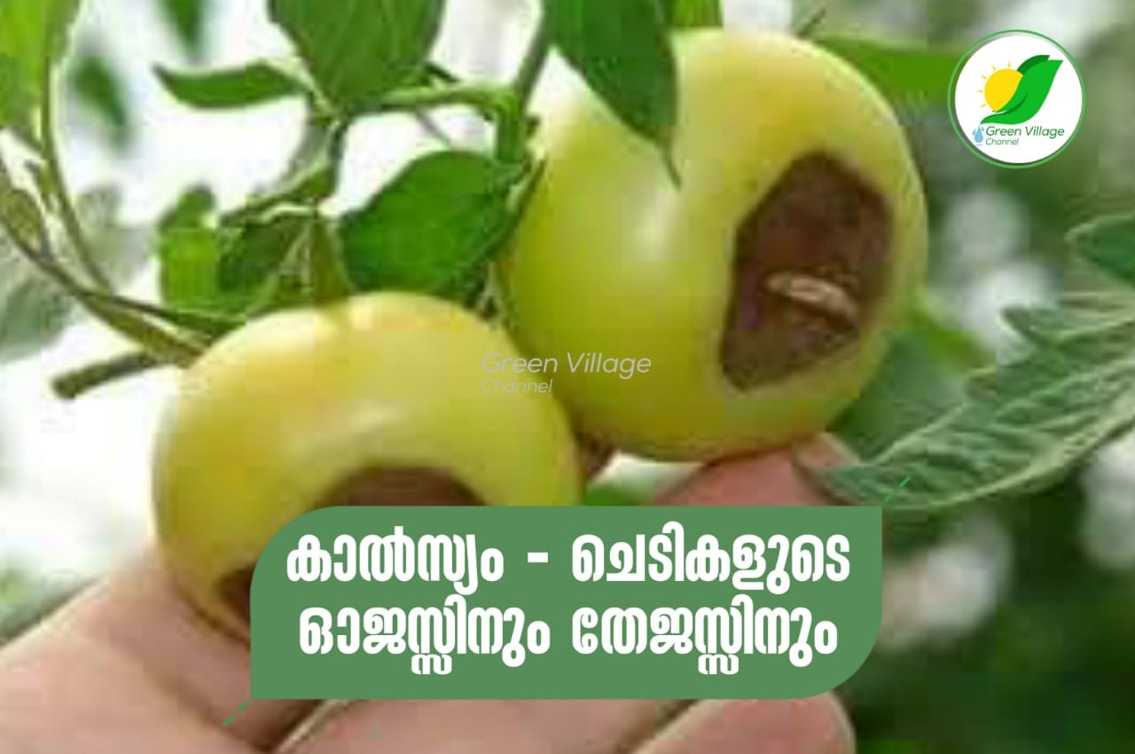 IMG 20230816 WA0012