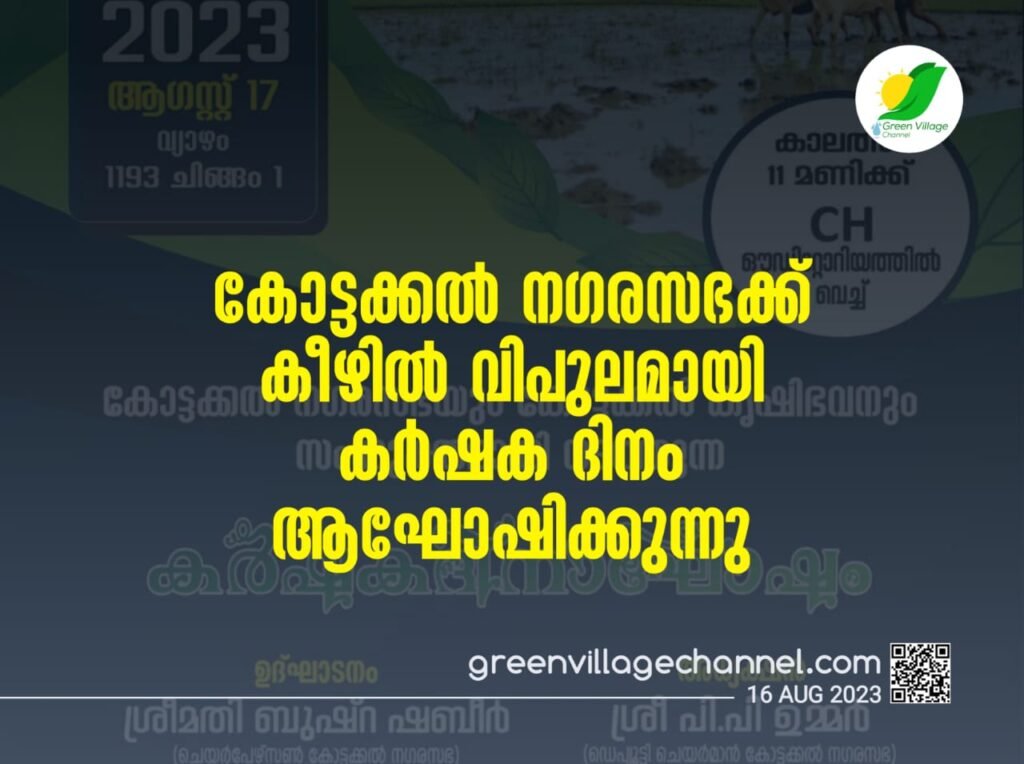 IMG 20230816 WA0019 1024x764