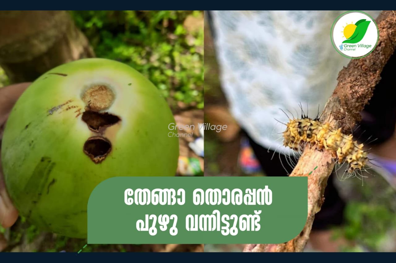IMG 20230818 WA0012