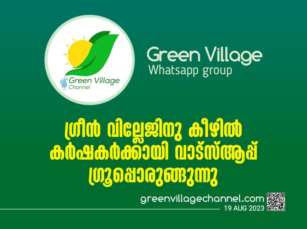 IMG 20230818 WA0021 1024x764
