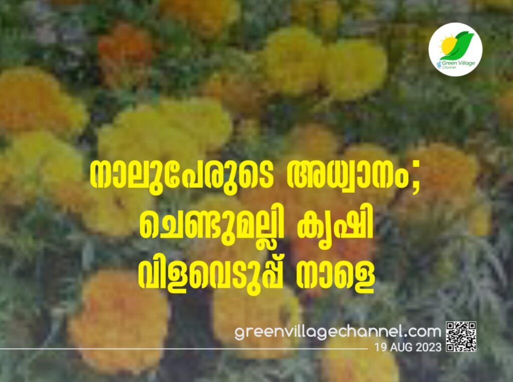 IMG 20230819 WA0021 1024x764