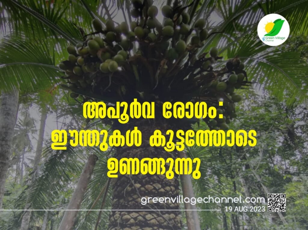 IMG 20230819 WA0024 1024x764