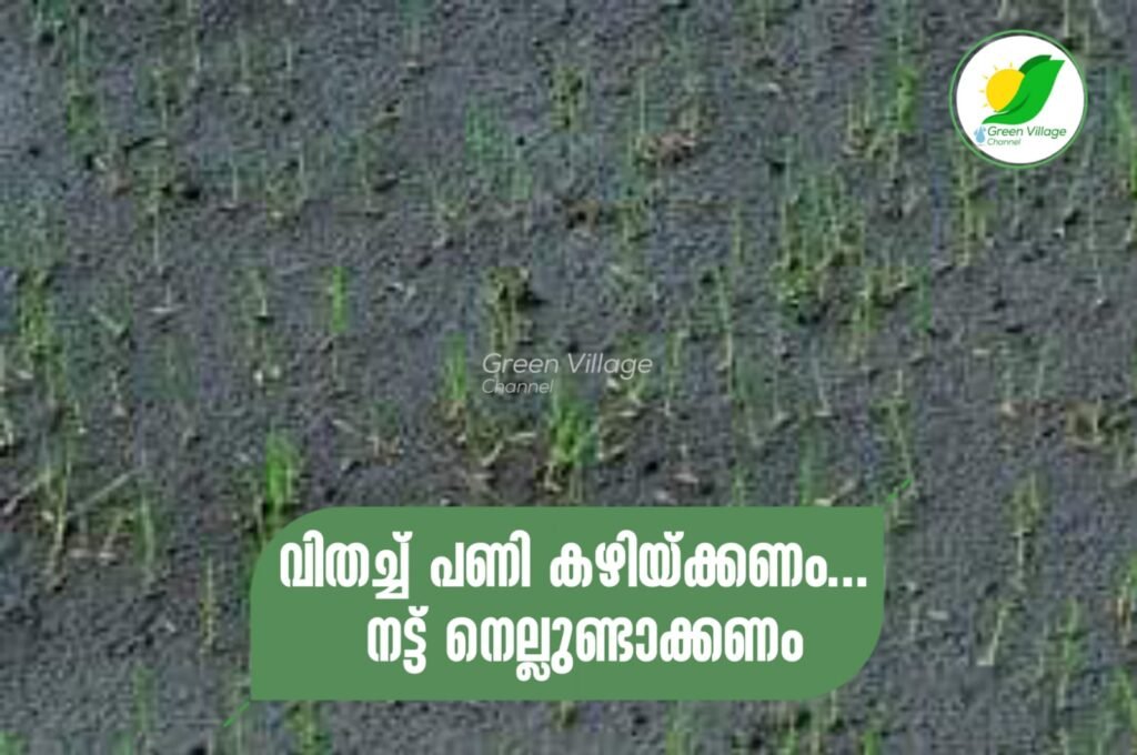 IMG 20230821 WA0003 1024x680