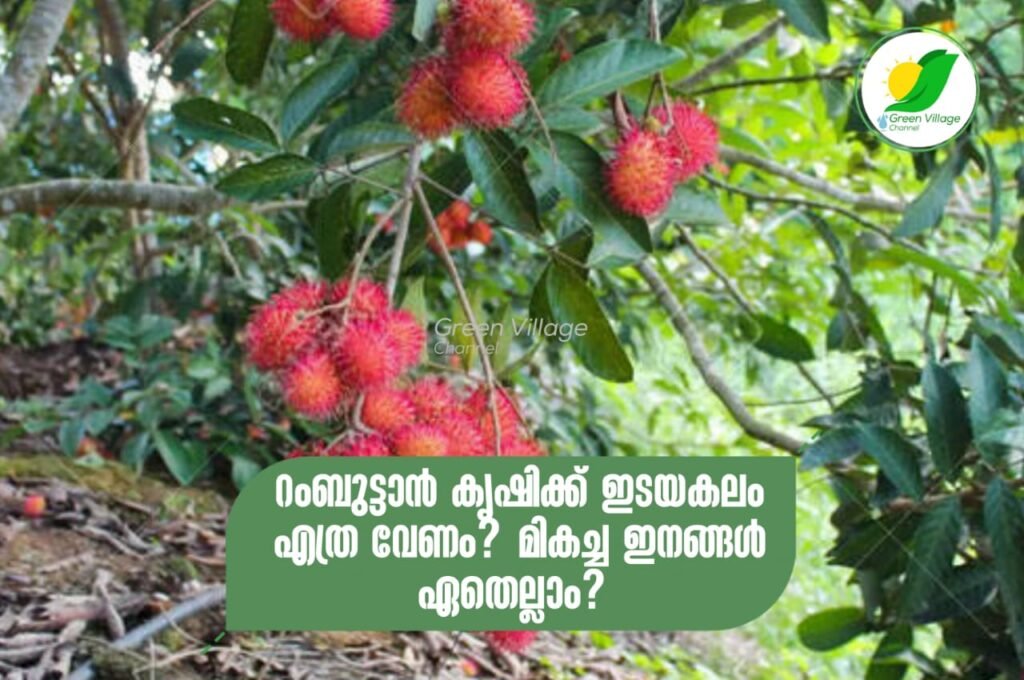 IMG 20230821 WA0020 1024x680