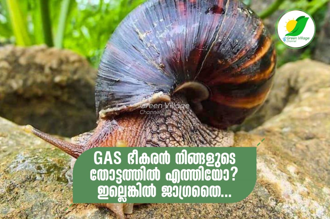 IMG 20230823 WA0038