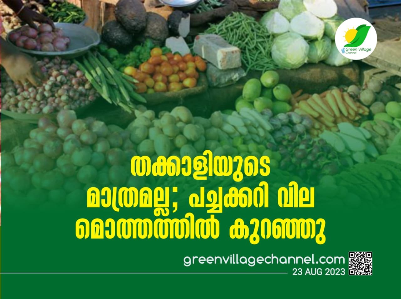 IMG 20230823 WA0039