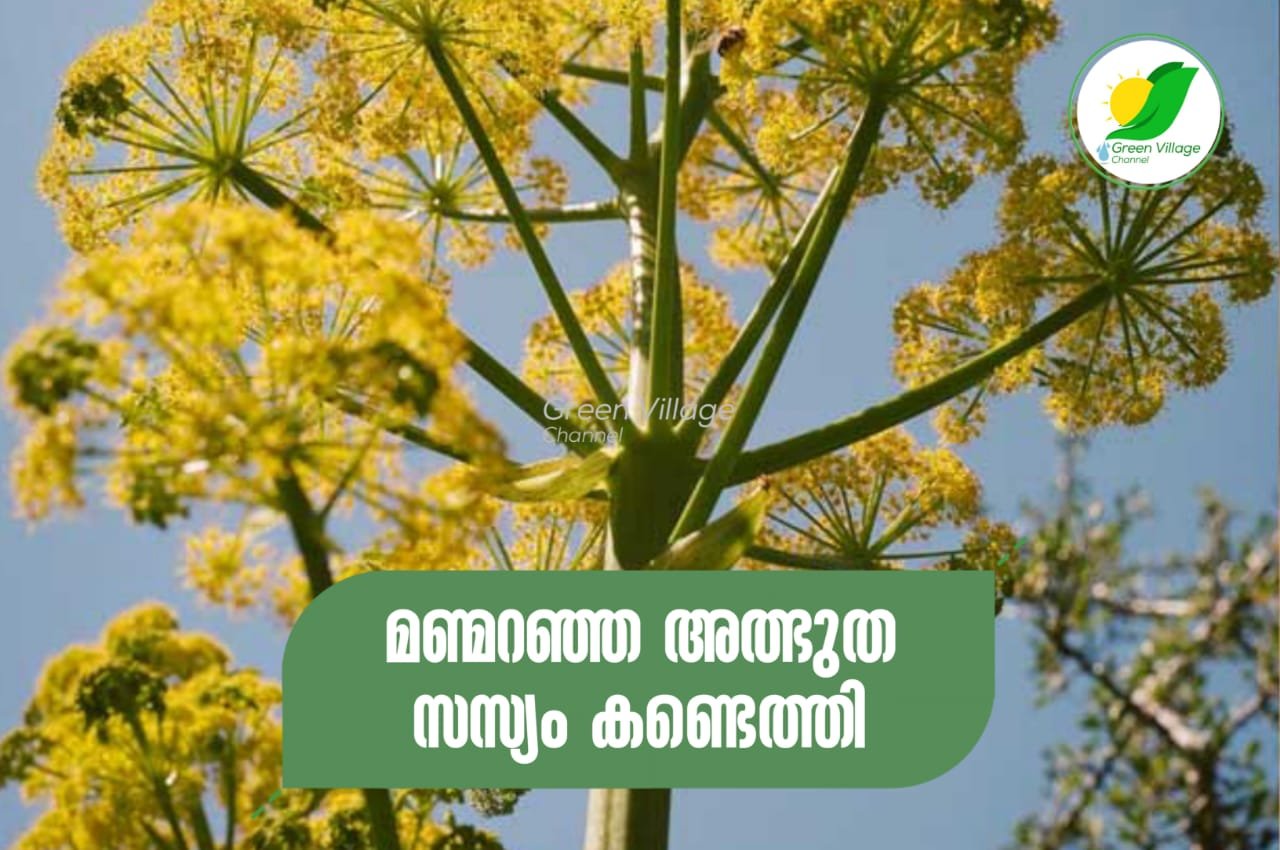 IMG 20230823 WA0040