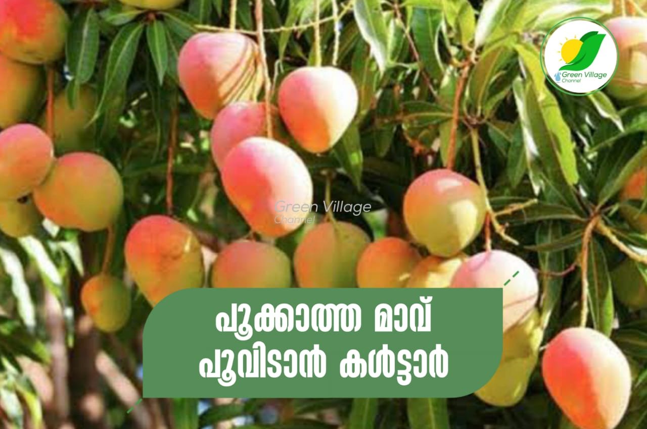 IMG 20230824 WA0032