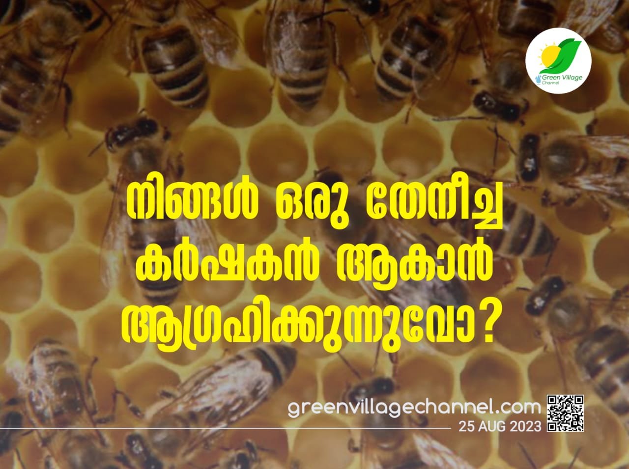 IMG 20230825 WA0006