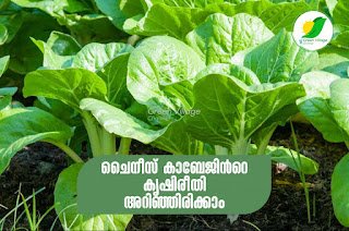 IMG 20230826 WA0030