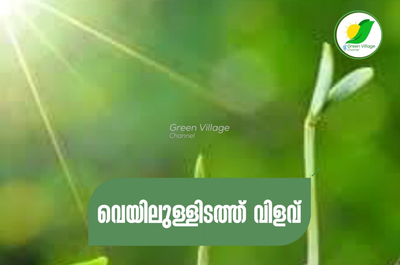 IMG 20230826 WA0051
