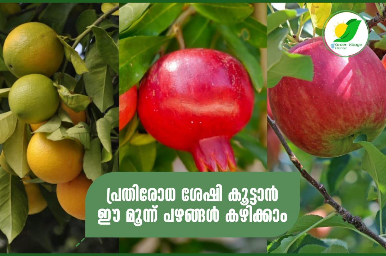 IMG 20230827 WA0063
