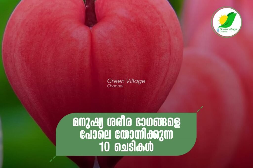 IMG 20230828 WA0084 1024x680