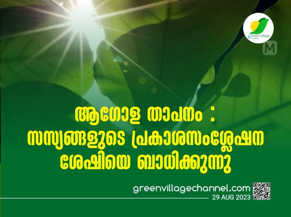 IMG 20230829 WA0000 1024x764
