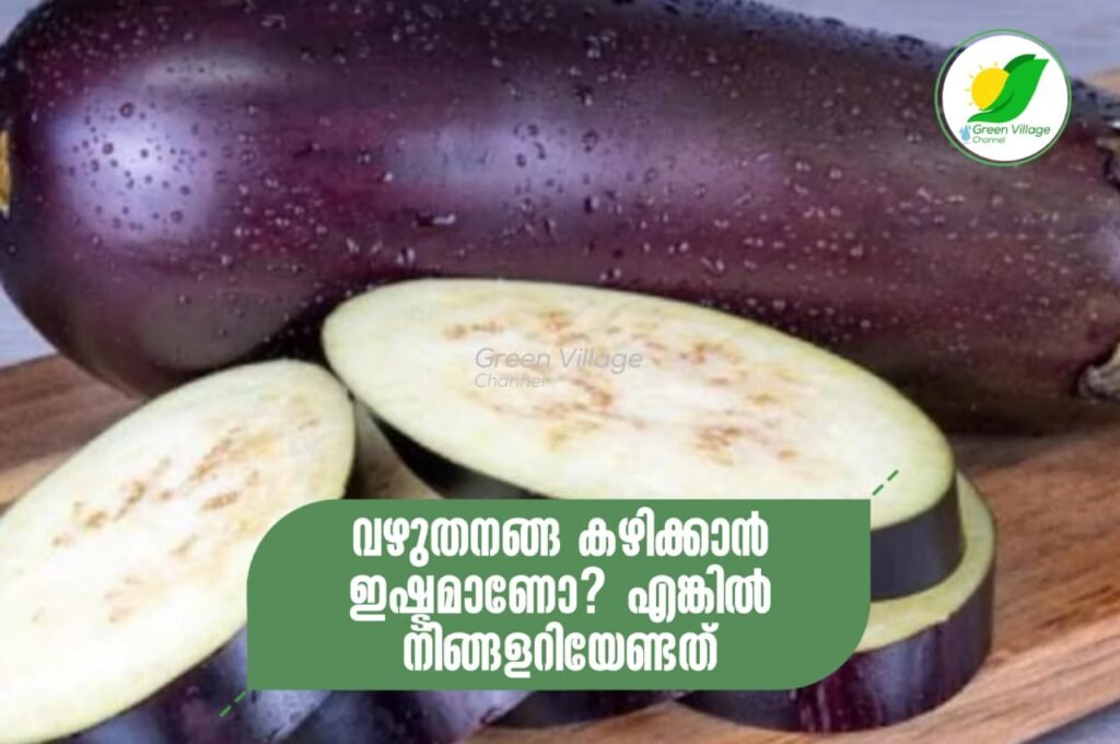 IMG 20230829 WA0110 1024x680