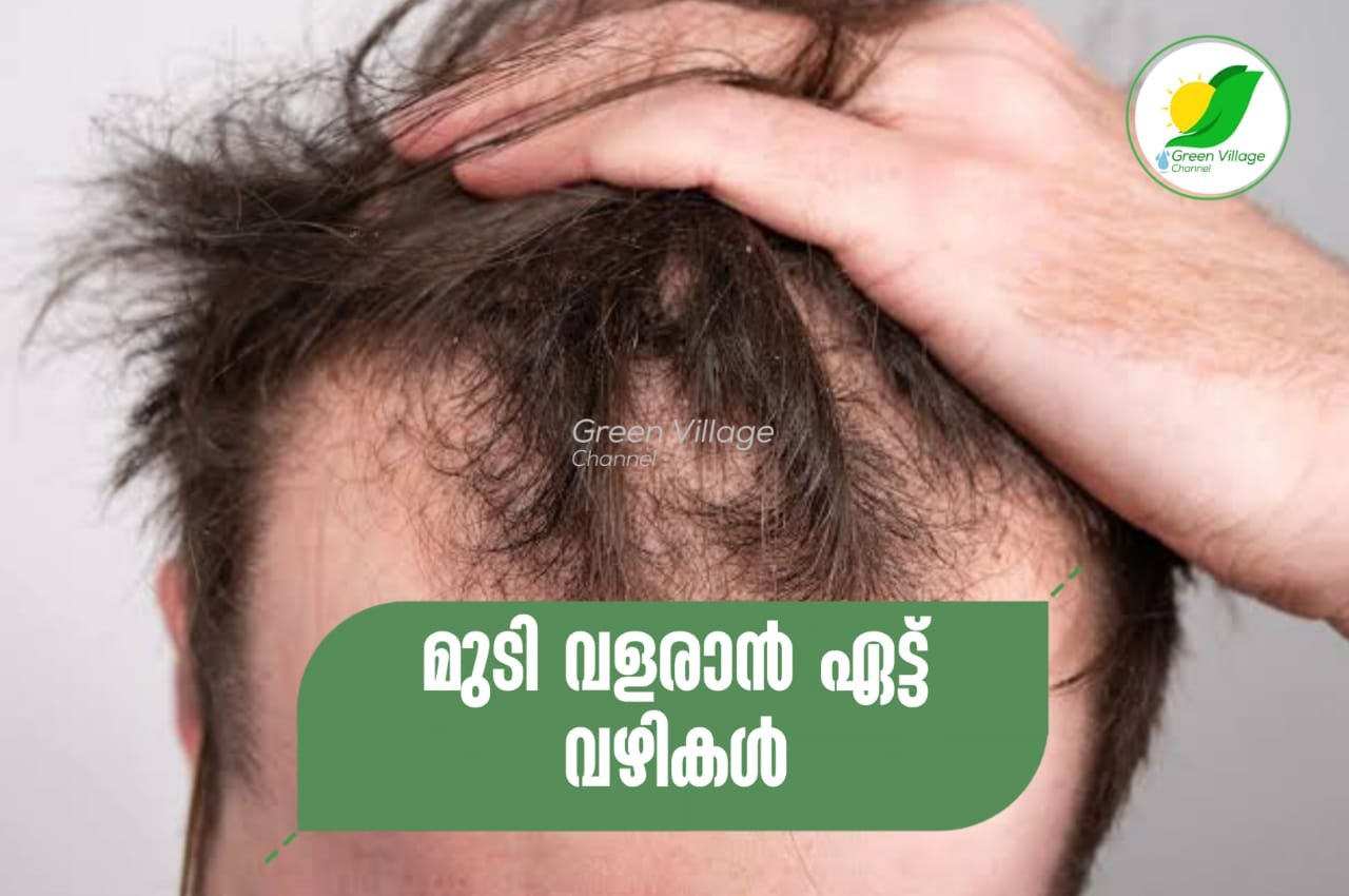 IMG 20230901 WA0006