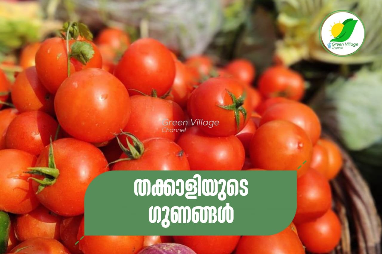 IMG 20230901 WA0008