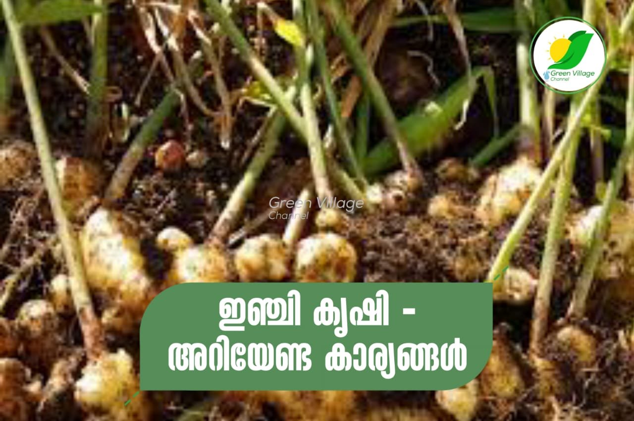 IMG 20230901 WA0069