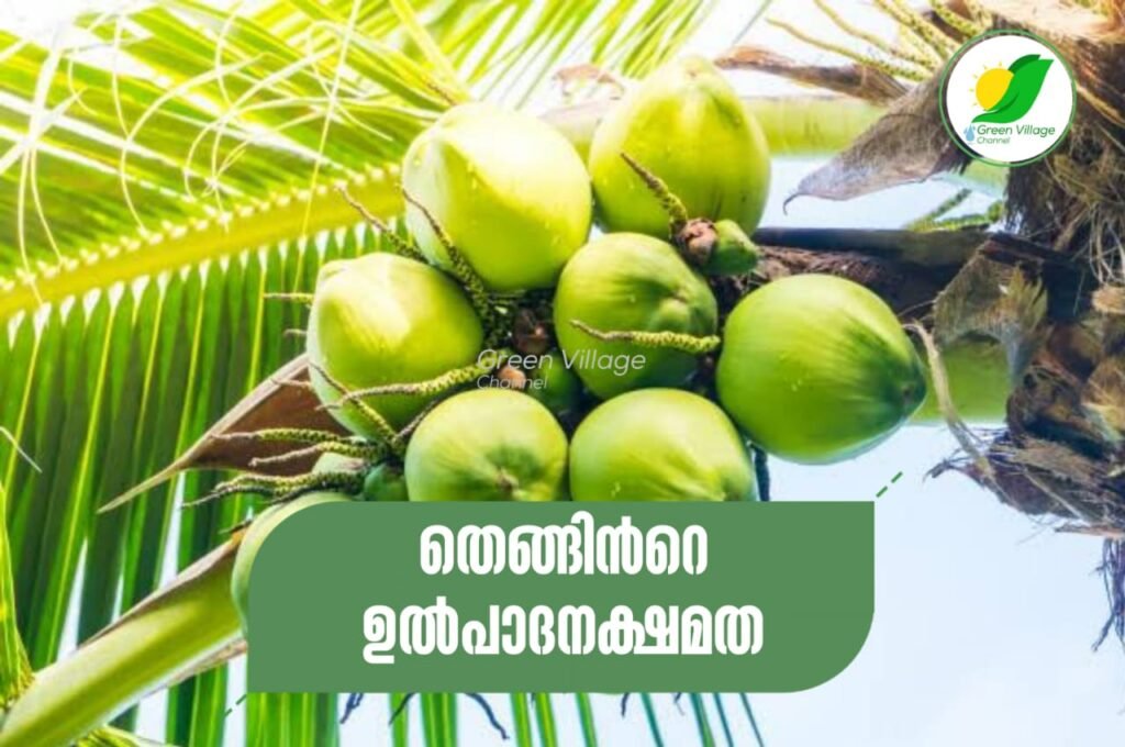 IMG 20230901 WA0071 1024x680