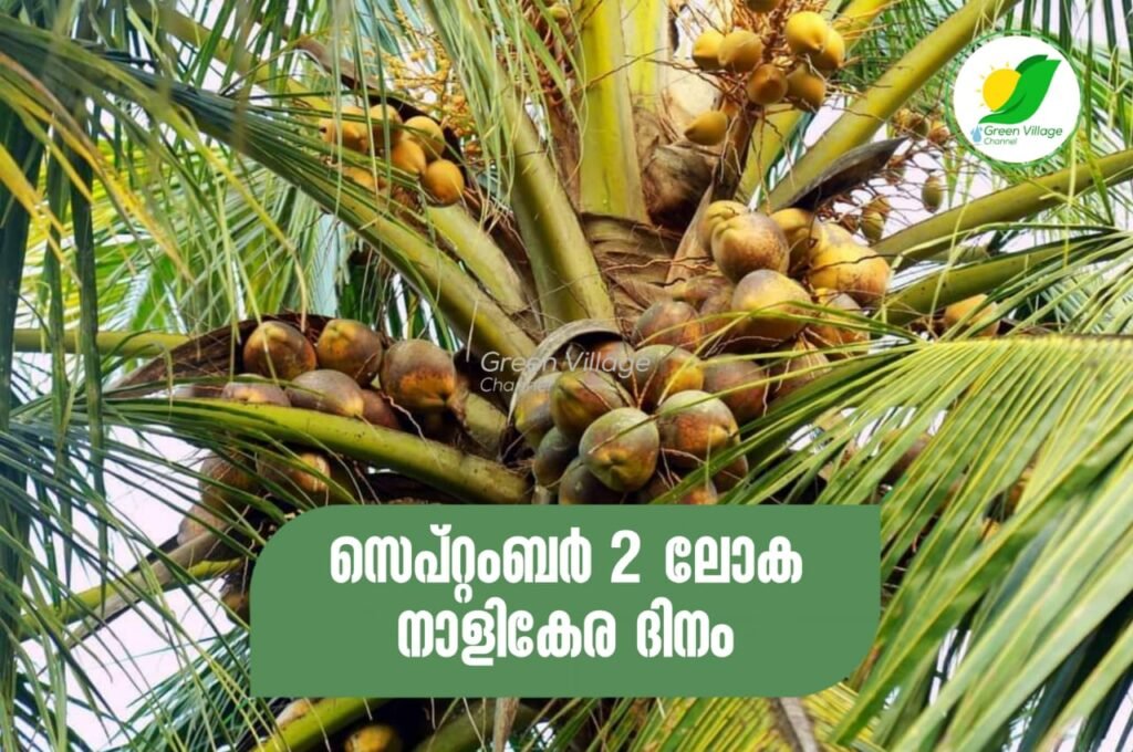 IMG 20230902 WA0014 1024x680