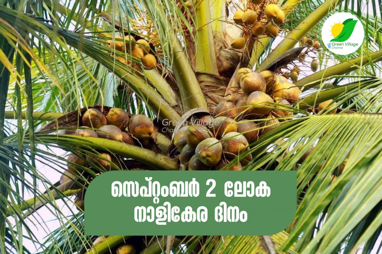 IMG 20230902 WA0014