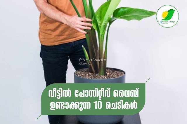 IMG 20230903 WA0009