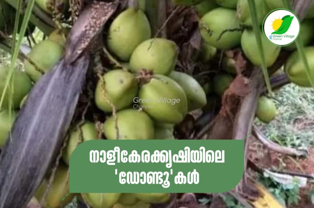 IMG 20230903 WA0011 1024x680