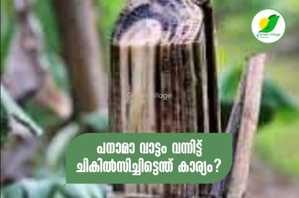 IMG 20230903 WA0012 1024x680