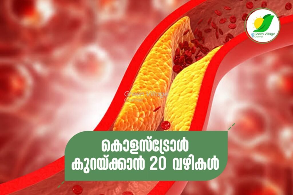 IMG 20230907 WA0043 1024x680