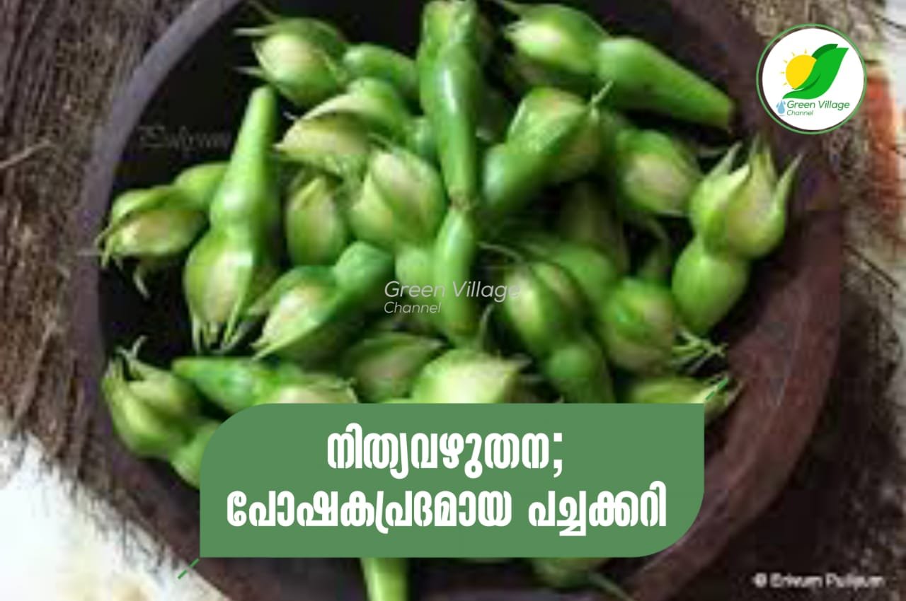 IMG 20230908 WA0101