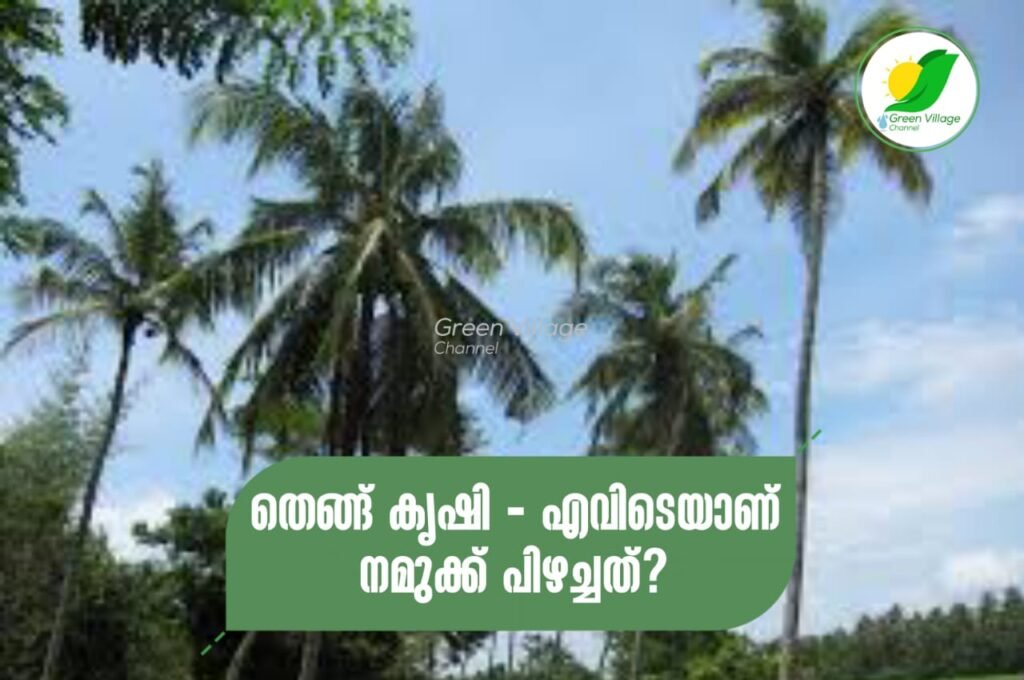 IMG 20230911 WA0065 1024x680
