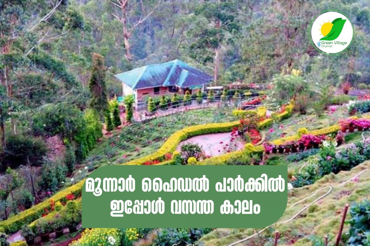 IMG 20230912 WA0022