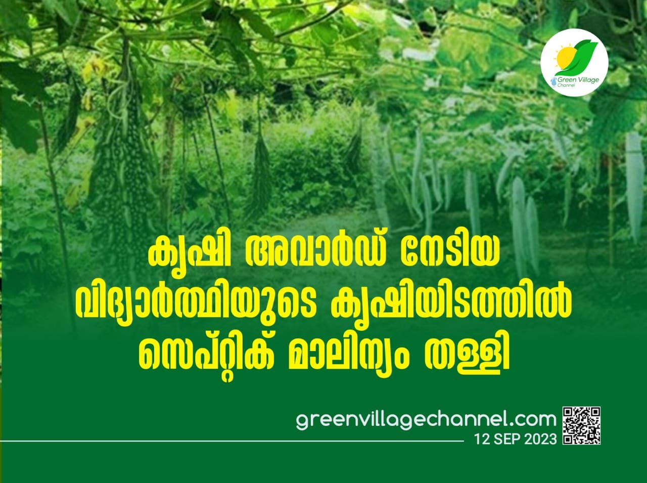 IMG 20230912 WA0030