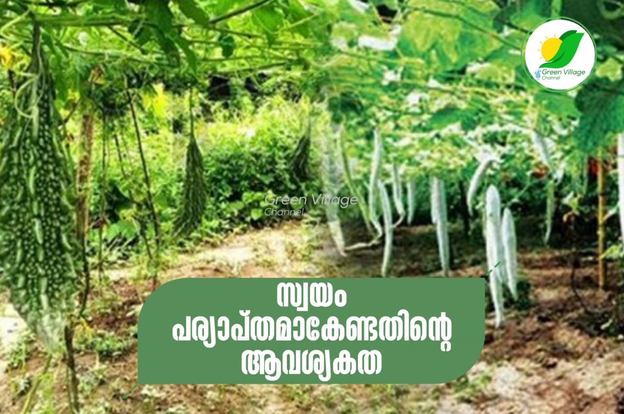 IMG 20230915 WA0049